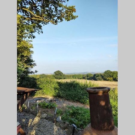 Self Catering Garden Lodge Ludlow Exteriör bild